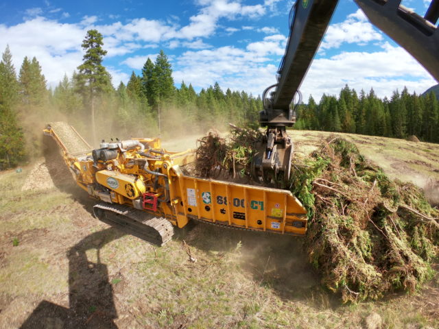 The log loader's mechanical arm loads branches and wood into the yellow-orange wood grinder in the middle of a field, with pine trees in the background on a sunny day, operated by the Huska Holdings team.